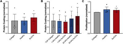 Using extracellular matrix derived from sugen-chronic hypoxia lung tissue to study pulmonary arterial hypertension